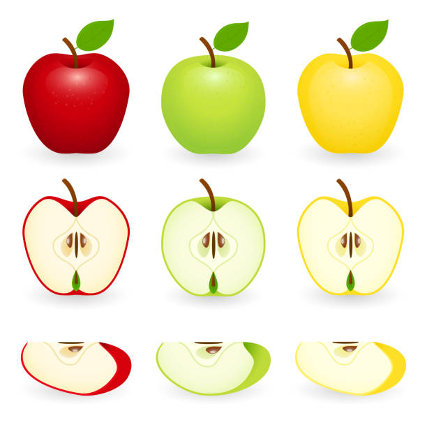 애플 슬라이스 격리 설정 - apple granny smith apple red delicious apple fruit stock illustrations