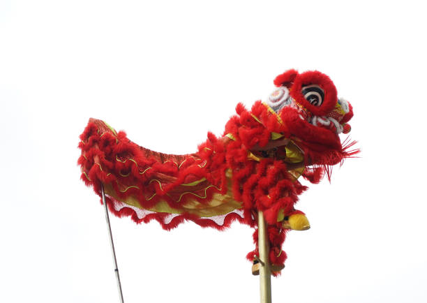 istock Chinese lion costume used during Chinese New Year celebration 924005366