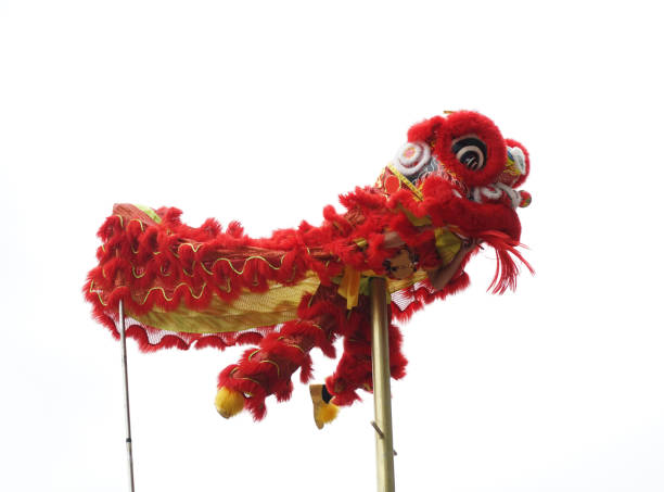 istock Chinese lion costume used during Chinese New Year celebration 924005448