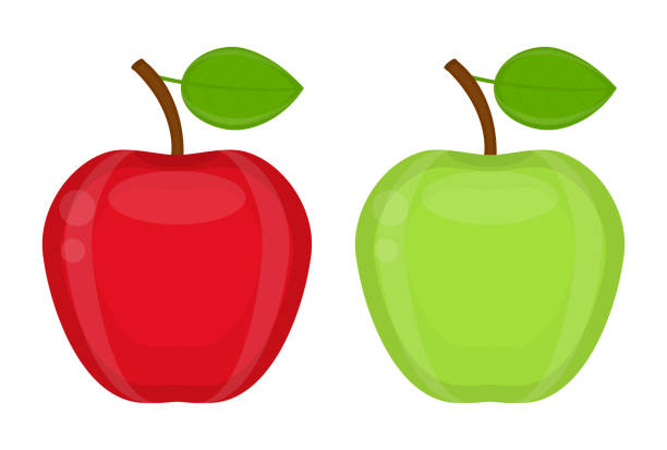 사과들 격리됨에 - apple granny smith apple red delicious apple fruit stock illustrations