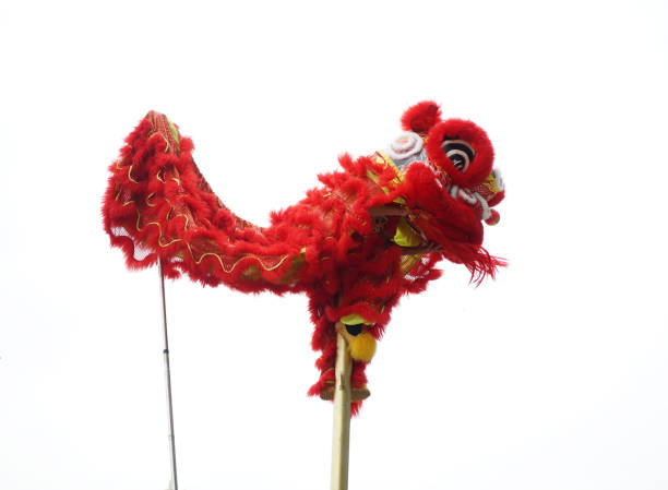 istock Chinese lion costume used during Chinese New Year celebration 924006166
