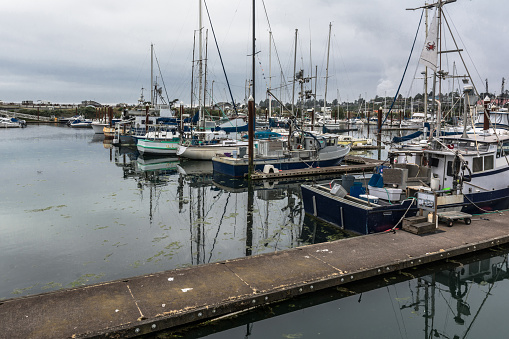 Brookings,Oregon,USA - June 6, 2017 : Sailboats in the harbor at Brookings