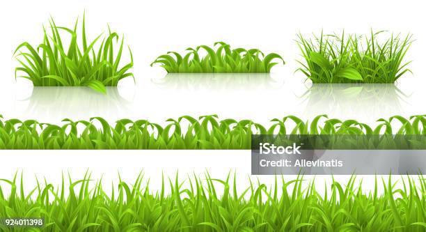 Spring Grass Seamless Pattern And Icons 3d Vector Stock Illustration - Download Image Now - Grass, White Background, Three Dimensional