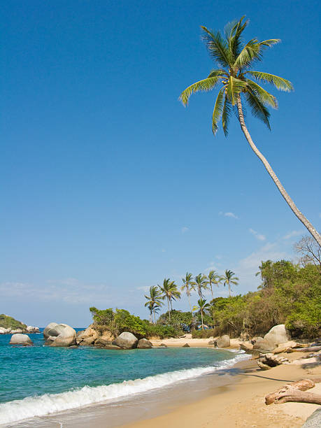 Tayrona National Natural Park, Colombia
