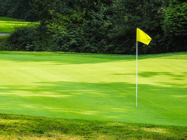 istock The 18th hole with flag at golf course. 924015502