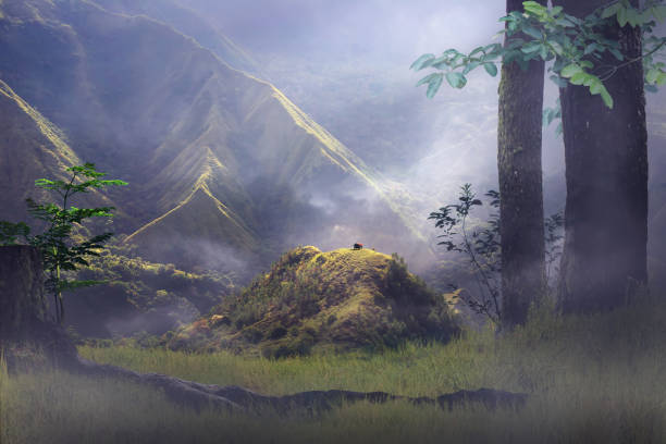 istock far away there on the mountain 924016616