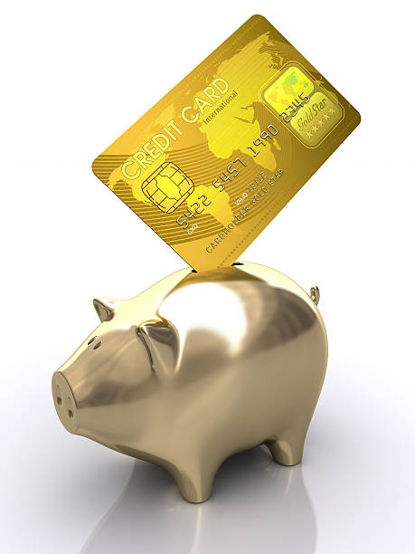 비용 절감 - pig currency savings piggy bank 뉴스 사진 이미지
