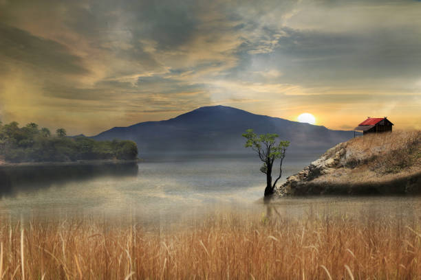 natural meditative mood