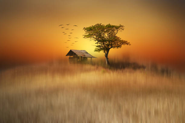 a small house under the tree