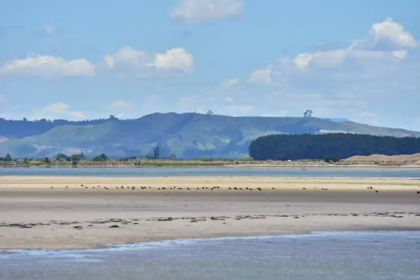 Photo of Sand flats in harbor