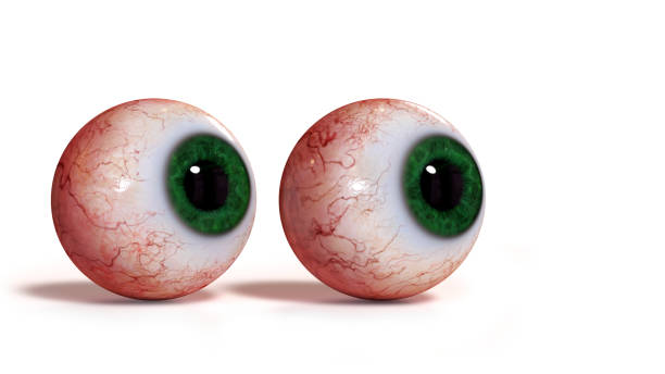 istock two realistic human eyes with green iris, isolated on white background (3d render) 924023742