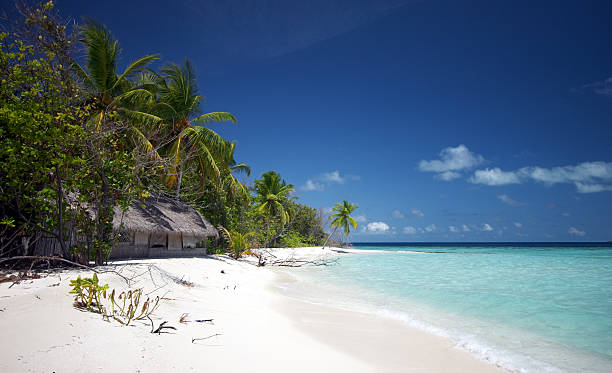 istock Beautiful scenery at the beach 92402624