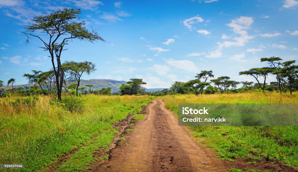 Empty rough road in Akagera national park Empty rough road in Akagera national park in Rwanda Akagera National Park Stock Photo