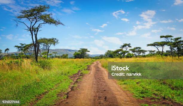 Empty Rough Road In Akagera National Park Stock Photo - Download Image Now - Akagera National Park, Safari, Road