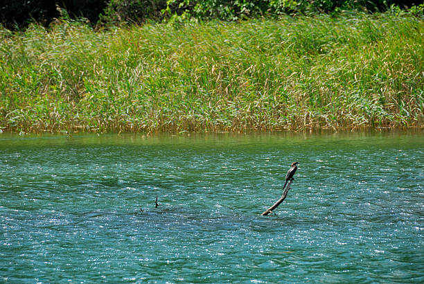 istock Krka National Park Canyon 92402869