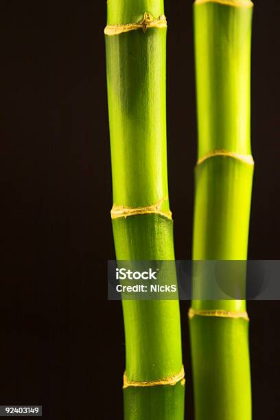 Growth Bamboo Stock Photo - Download Image Now - Abstract, Abstract Backgrounds, Backgrounds
