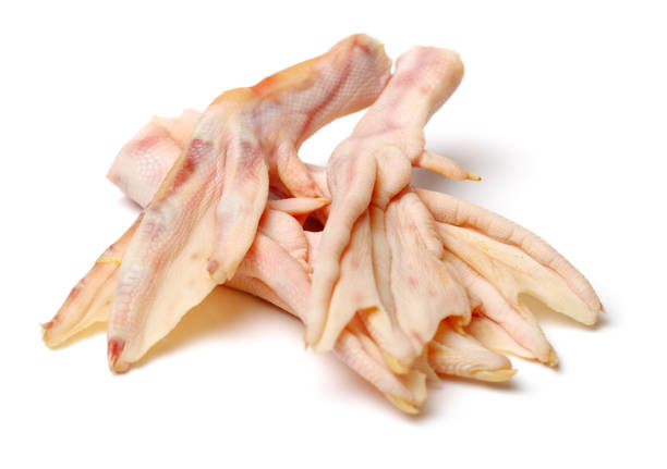Raw duck feet Isolated, on a white background