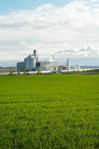 Ethanol Plant 3  corn biodiesel crop corn crop stock pictures, royalty-free photos & images