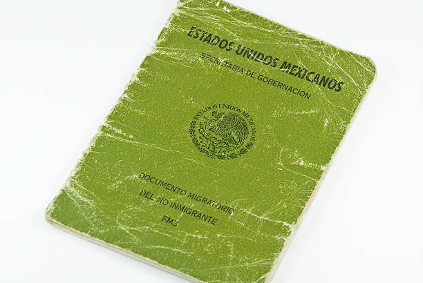 istock Heavily used Mexican FM3 Immigration Passport 92404246