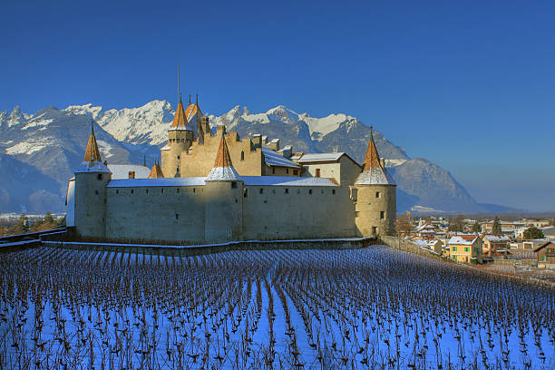 aigle castello in inverno, svizzera - eagle tower foto e immagini stock