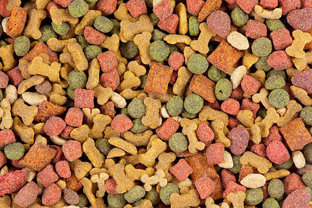 istock Dog Food Top View 92404613
