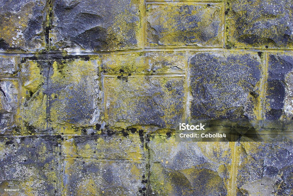 苔で覆われた壁 - ひびが入ったのロイヤリティフリーストックフォト