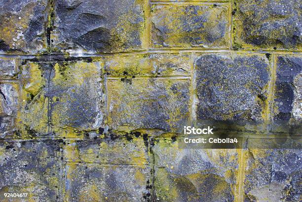 苔で覆われた壁 - ひびが入ったのストックフォトや画像を多数ご用意 - ひびが入った, アメリカ太平洋岸北西部, オレゴン州