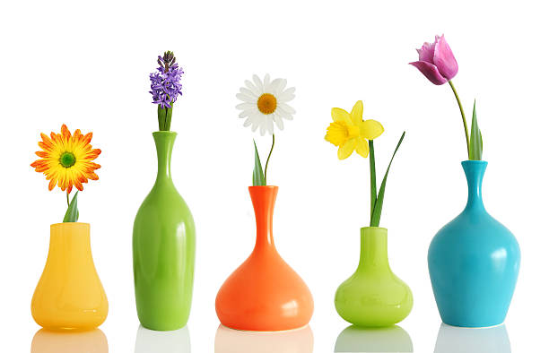 istock Colorful vases each holding a single flower on white 92404745