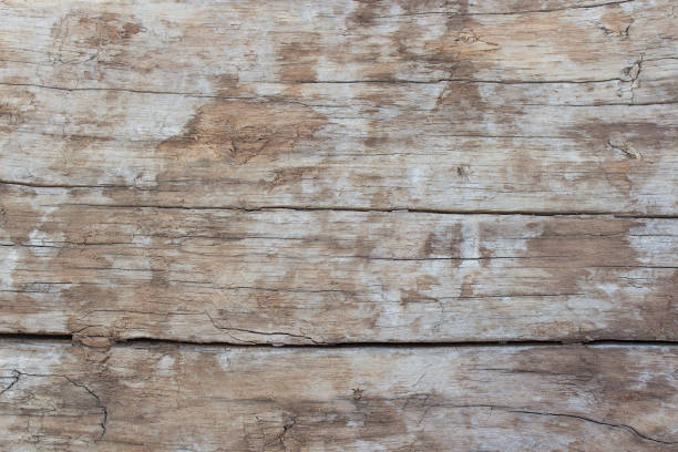 Wood background stock photo