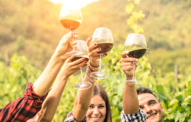 istock Friends hands toasting red wine glass and having fun cheering at winetasting experience - Young people enjoying harvest time together at farmhouse vineyard countryside - Youth and friendship concept 924058500