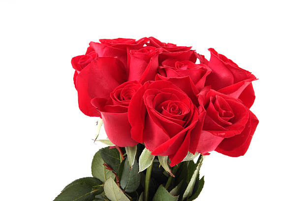 istock Bunch of roses 92405888