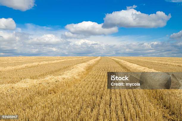 Chmury I Windrows - zdjęcia stockowe i więcej obrazów Bez ludzi - Bez ludzi, Chmura, Fotografika