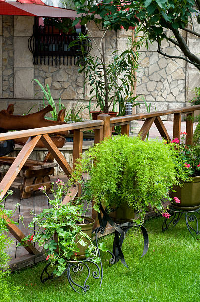 istock open air cafe with lots of green plants 92406014