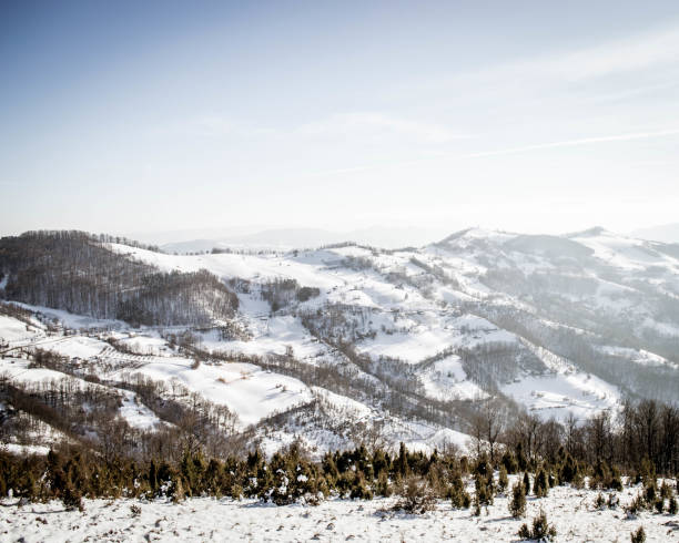 istock Exploring Tara National Park in Serbia 924060580