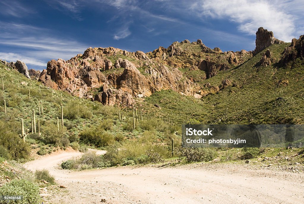 Reserva Ecológica do deserto - Royalty-free Ao Ar Livre Foto de stock