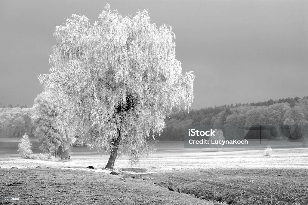 Winterlandschaft - Lizenzfrei Bach Stock-Foto