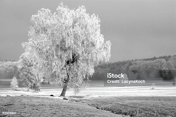 Winterlandschaft Stockfoto und mehr Bilder von Bach - Bach, Baum, Dorf