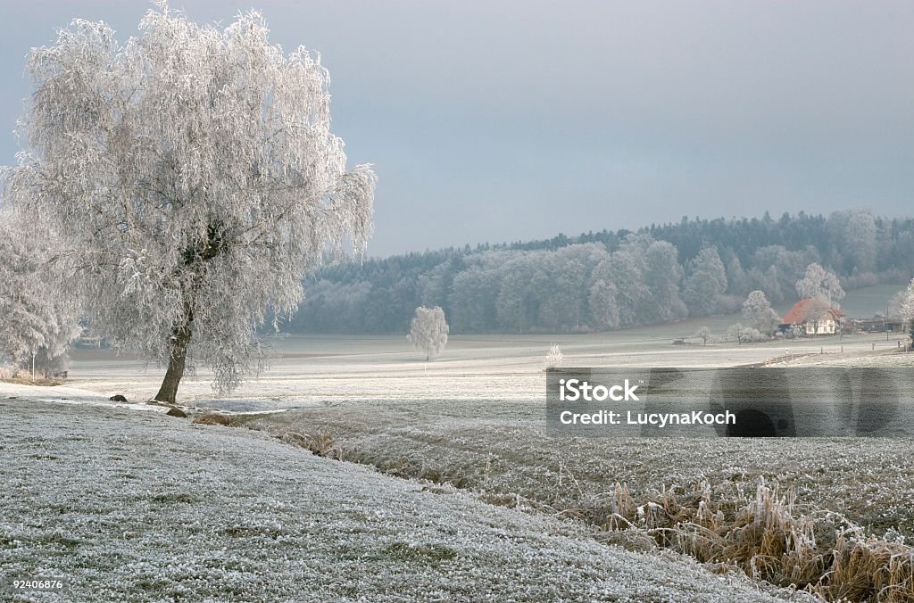 Winterlandschaft - Lizenzfrei Baum Stock-Foto