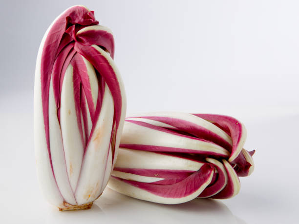Radicchio Treviso - Wikipedia Radicchio treviso on gradient white studio background radicchio tardivo stock pictures, royalty-free photos & images