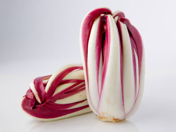 Radicchio Treviso - Wikipedia Radicchio treviso on gradient white studio background radicchio tardivo stock pictures, royalty-free photos & images