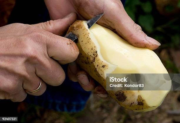 Homem Batata Descamada - Fotografias de stock e mais imagens de Batata Crua - Batata Crua, Casca de fruta, Descascar alimentos