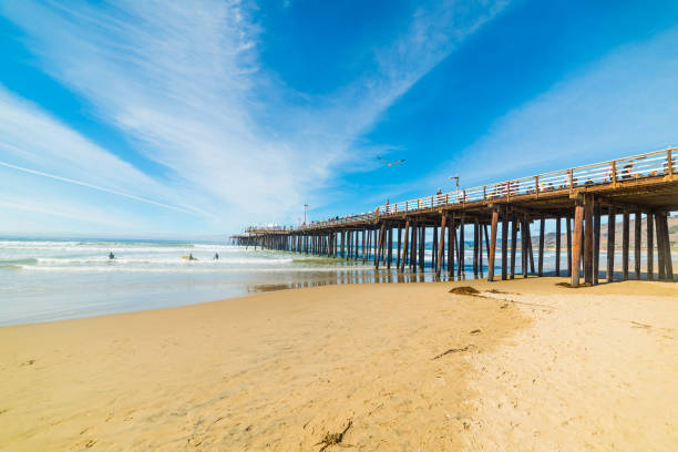 istock Surfers by the pier 924075398
