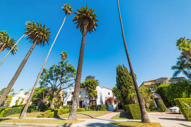 istock Beautiful houses in Beverly Hills 924075862