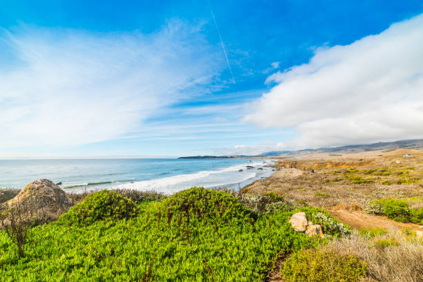 Colorful coast in central California, USA