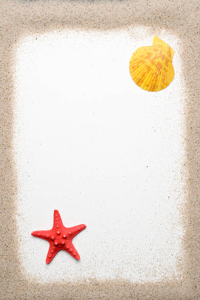 A beach themed piece of scrapbook paper