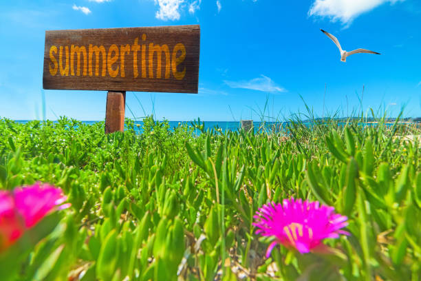 istock Summertime written on a wooden sign 924080040