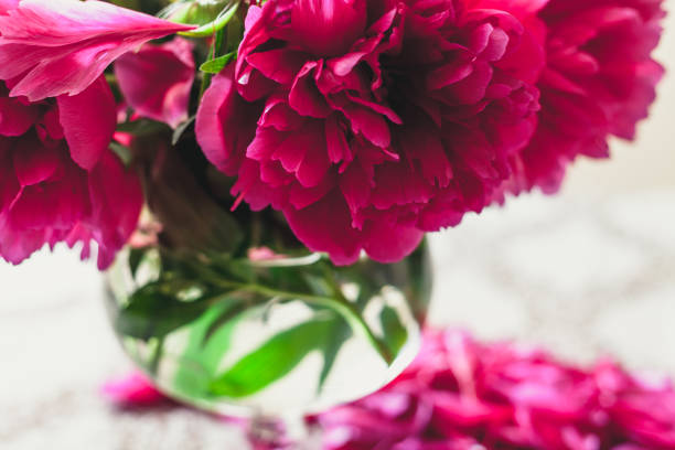 istock red peonies in glass vase stand on table 924080840