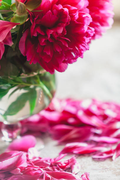 istock red peonies in glass vase stand on table 924080880