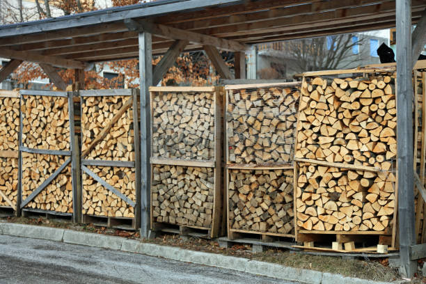 istock big woodshed with cutted wooden logs 924080928