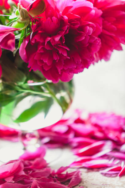 istock red peonies in glass vase stand on table 924081028